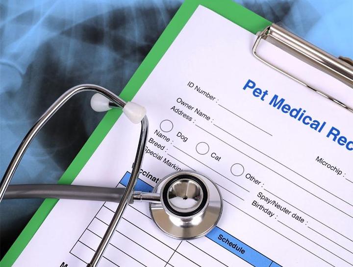 Pet Portal Cavanaugh Pet Hospital